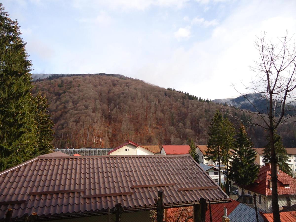 Casa Serban Villa Sinaia Exterior photo