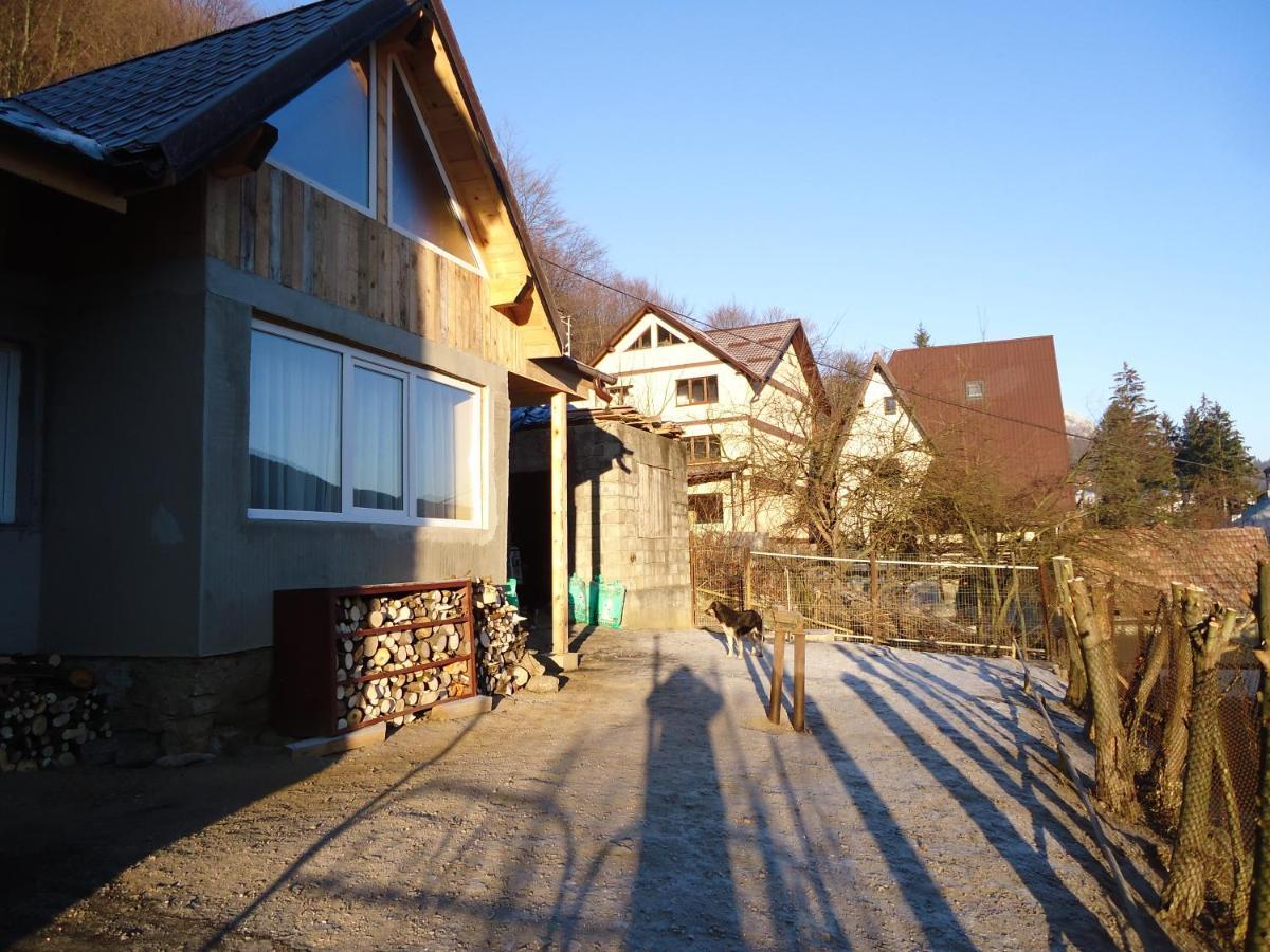 Casa Serban Villa Sinaia Exterior photo