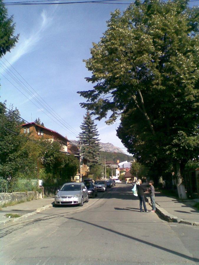 Casa Serban Villa Sinaia Exterior photo