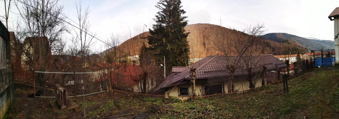 Casa Serban Villa Sinaia Exterior photo