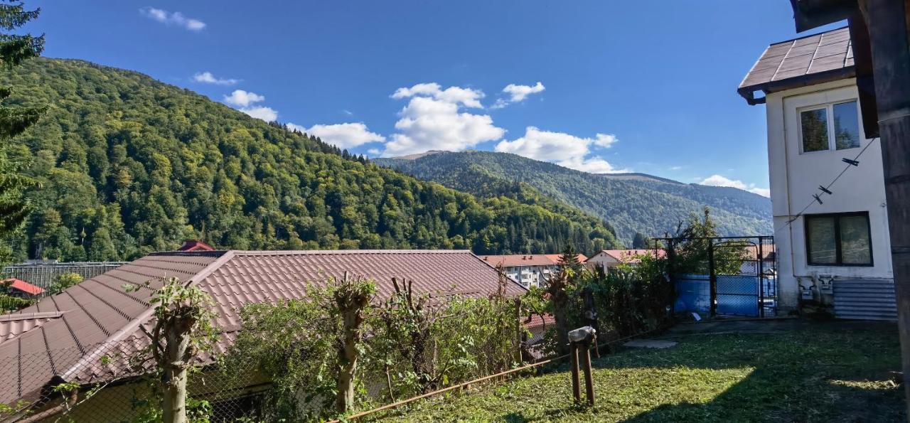 Casa Serban Villa Sinaia Exterior photo