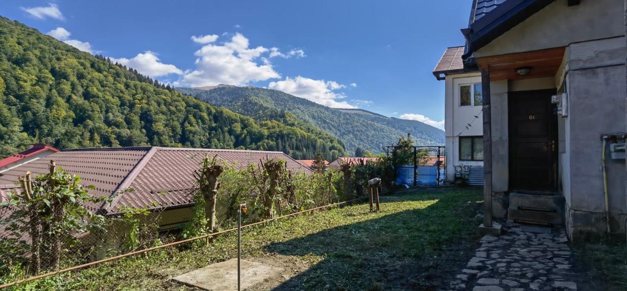 Casa Serban Villa Sinaia Exterior photo